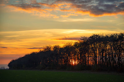 Trees on field against sky during sunset