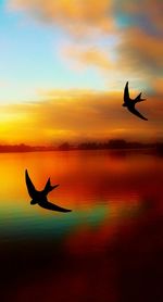 Silhouette birds flying above river against romantic sky at sunset