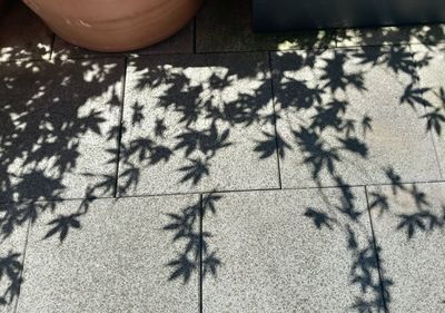 shadow