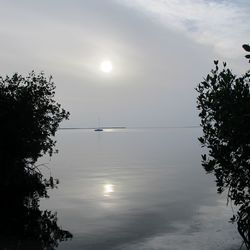 Silhouette tree by lake against sky