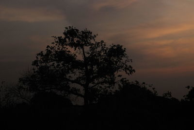 Low angle view of silhouette tree against sky at sunset