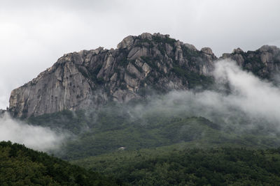 Scenic view of fogged mountain 