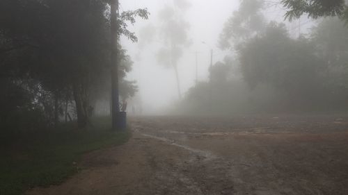 Wet road amidst trees against sky during rainy season