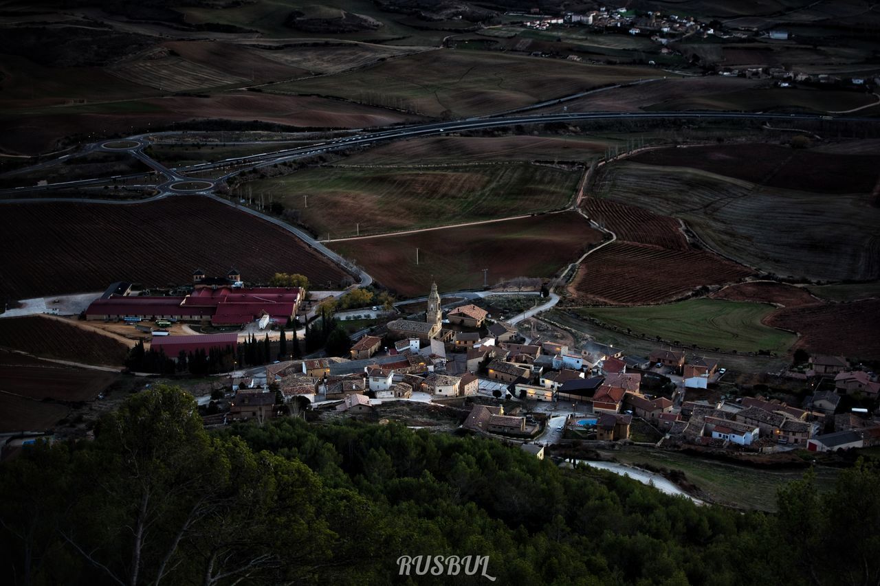 HIGH ANGLE VIEW OF HOUSES AND TREES IN TOWN