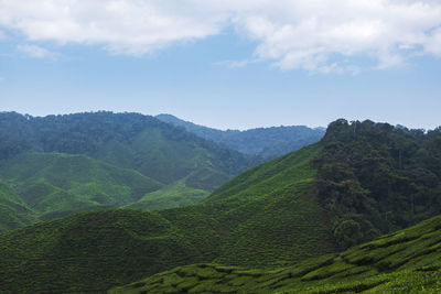 Scenic view of agricultural landscape against sky