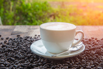 Cappuccino on roasted coffee beans