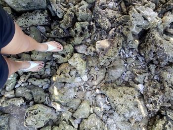Low section of woman standing on rock