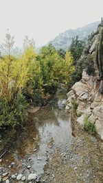 Scenic view of river against sky