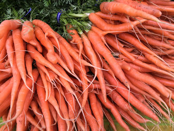 Close-up of carrots for sale