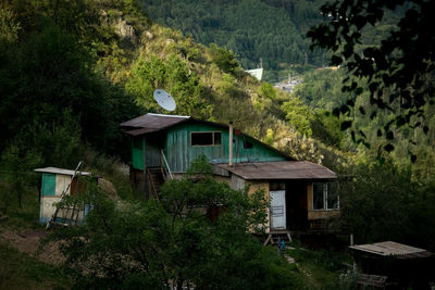 House amidst trees and plants growing in forest