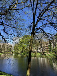 Bare trees by lake against sky
