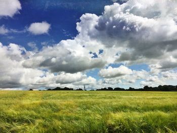 Scenic view of grassy field against cloudy sky