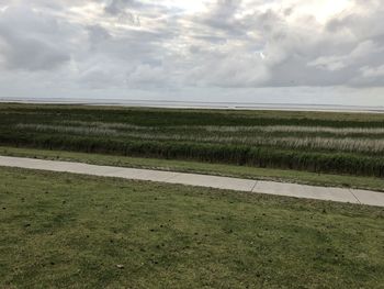 Scenic view of field against sky