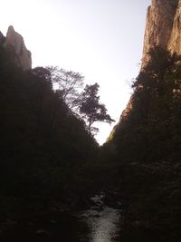 Rock formation amidst trees against clear sky