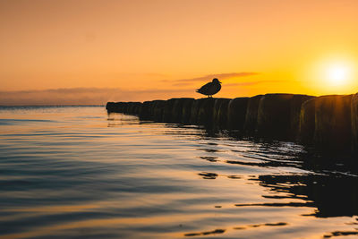 Silhouette rocks on sea against sky during sunset