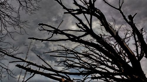 Low angle view of silhouette bare tree against sky