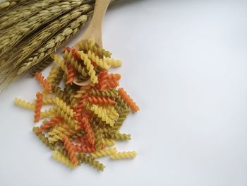 High angle view of food on table against white background