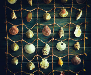 Full frame shot of metal grate