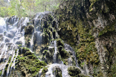 Waterfall in forest