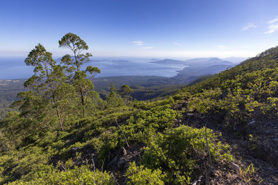 Scenic view of tree mountains against sky