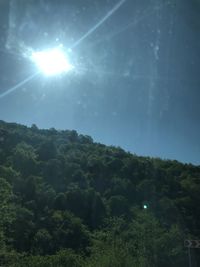 Low angle view of trees against sky