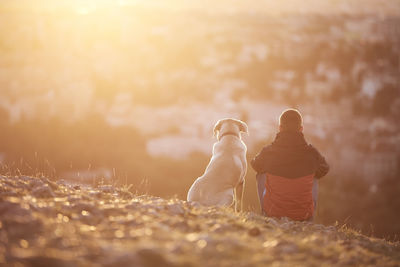 Rear view of young man with dog at sunrise. pet owner sitting with his dog on hill against city.