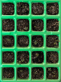 Full frame shot of green background