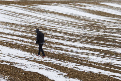 Rear view of person walking on snow covered land