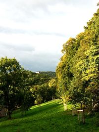 Scenic view of green landscape and trees against sky