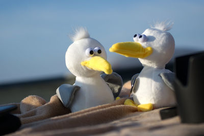 Close-up of bird toys