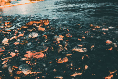 High angle view of stones by river