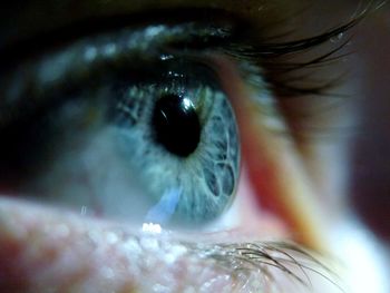 Close-up of human eye