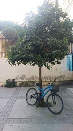 Bicycle on tree against sky