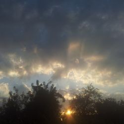 Low angle view of trees against cloudy sky