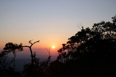 Silhouette trees against sky during sunset