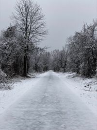 Snow covered road amidst bare trees against sky