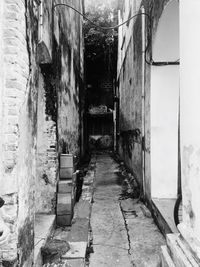 Empty narrow pathway along buildings
