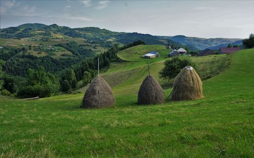 Scenic view of farm against sky