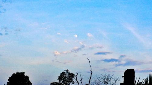 Low angle view of silhouette trees against blue sky