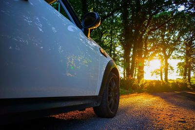 Car on road against trees