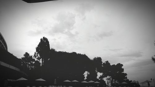 Low angle view of trees against sky