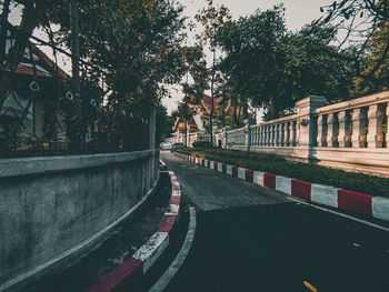 Road by trees in city