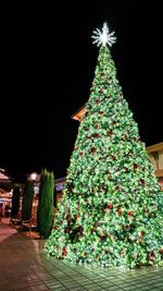 Illuminated christmas tree at night