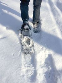 Low section of man walking on snow