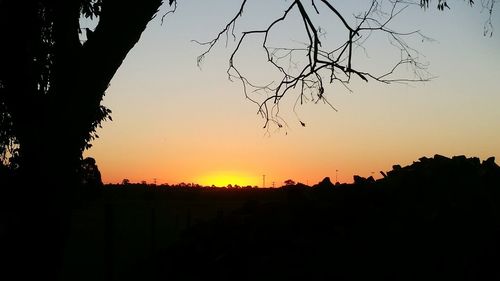 Silhouette trees against clear sky during sunset