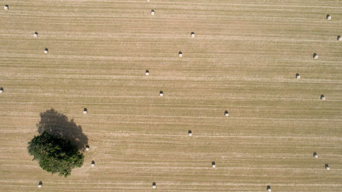 Full frame shot of field