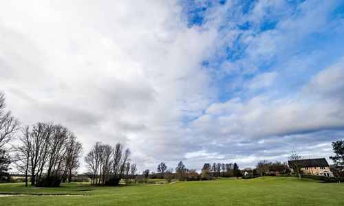 Scenic view of field against sky