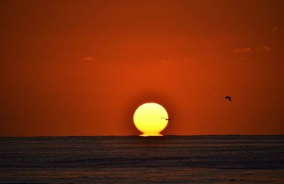 Scenic view of sea against orange sky