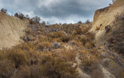 Scenic view of land against sky