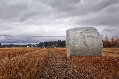Hay bales in wheat field against sky